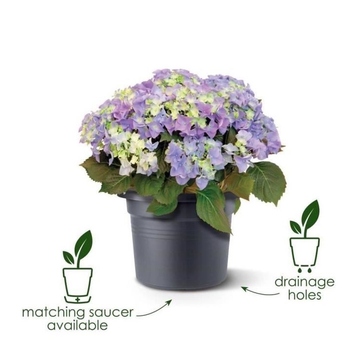 ELHO Pot de fleurs Green Basics Cilinder - Ø 64 x H 49 cm - Extérieur - 100% recyclé - Noir ELHO Pot de fleurs Green Basics Cilinder - Ø 64 x H 49 cm - Extérieur - 100% recyclé - Noir