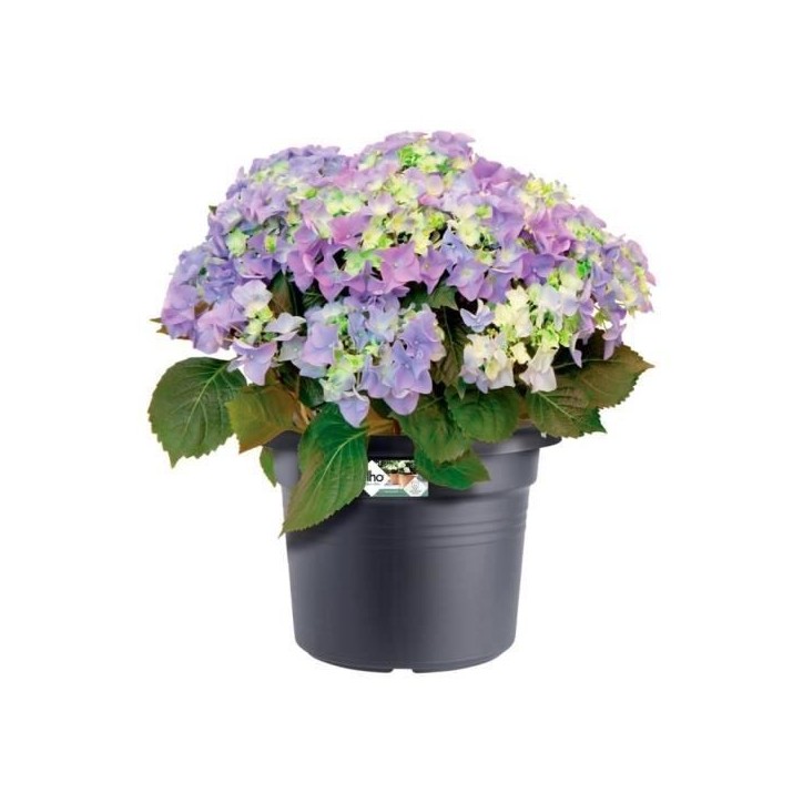 ELHO Pot de fleurs Green Basics Cilinder - Ø 64 x H 49 cm - Extérieur - 100% recyclé - Noir ELHO Pot de fleurs Green Basics Cilinder - Ø 64 x H 49 cm - Extérieur - 100% recyclé - Noir