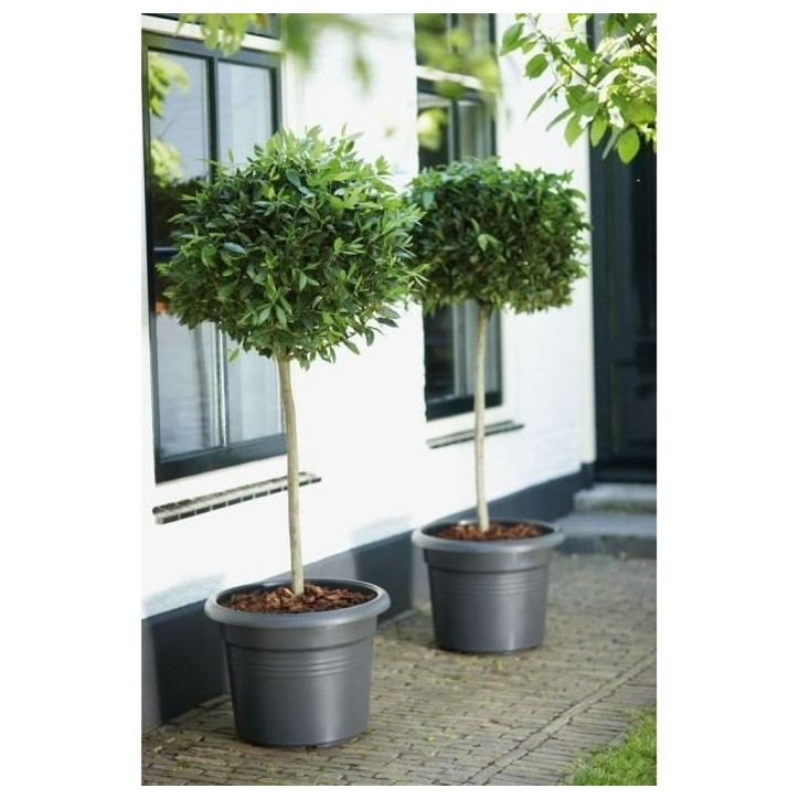 ELHO Pot de fleurs Green Basics Cilinder - Ø 64 x H 49 cm - Extérieur - 100% recyclé - Noir ELHO Pot de fleurs Green Basics Cilinder - Ø 64 x H 49 cm - Extérieur - 100% recyclé - Noir
