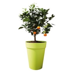 ELHO Pot de fleur Rond Loft Urban - Ø 34 x 45,6 cm - 23 l - Blanc