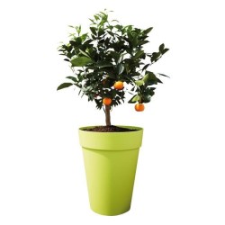 ELHO Pot de fleur Rond Loft Urban - Ø 34 x 45,6 cm - 23 l - Gris anth
