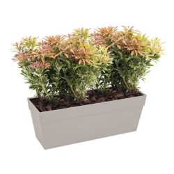 ELHO Bac a fleurs/Jardiniere Loft Urban - 49 x 17,3 x 18 cm - Gris ant