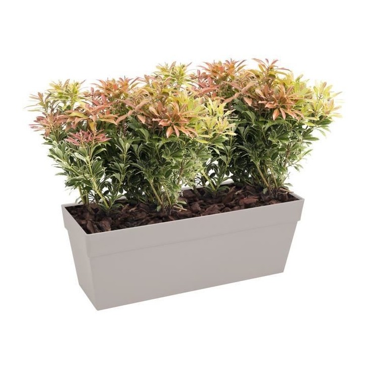 ELHO Bac a fleurs/Jardiniere Loft Urban - 49 x 17,3 x 18 cm - Gris anthracite