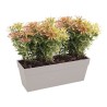 ELHO Bac a fleurs/Jardiniere Loft Urban - 49 x 17,3 x 18 cm - Gris ant