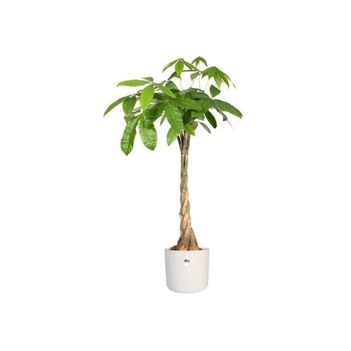 ELHO Pot de fleurs rond B.FOR Soft - Plastique - Ø24,7 x H 23,3 cm - Blanc