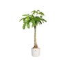 ELHO Pot de fleurs rond B.FOR Soft - Plastique - Ø24,7 x H 23,3 cm -