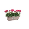 ELHO Balconniere BARCELONA ALLIN1 - 9L - 49,5x27,5x18,5cm - Balcon: ex
