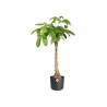 ELHO Pot de fleurs rond B.FOR Soft - Plastique - Ø29,5 x H 27,6 cm -