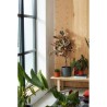 ELHO Pot de fleurs rond B.FOR Soft - Plastique - Ø29,5 x H 27,6 cm -