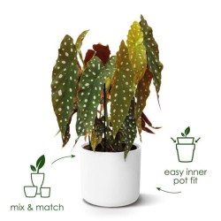 ELHO Pot de fleurs rond B.for Soft 35 - Ø 35 x H 32 cm - Intérieur -