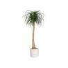 ELHO Pot de fleurs rond B.for Soft 35 - Ø 35 x H 32 cm - Intérieur -
