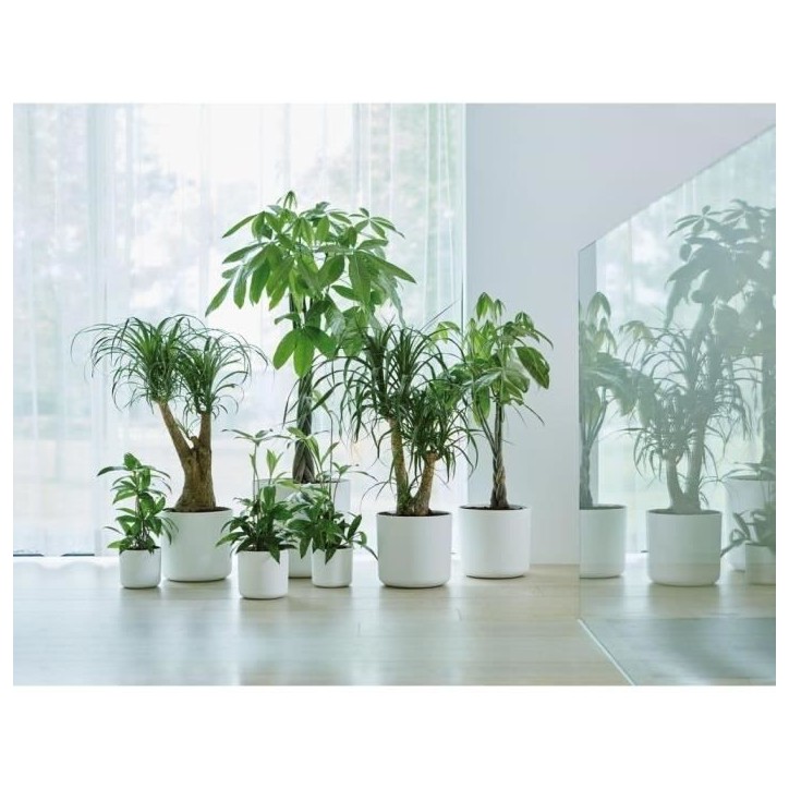 ELHO Pot de fleurs rond B.for Soft 35 - Ø 35 x H 32 cm - Intérieur - 100% recyclé - Blanc ELHO Pot de fleurs rond B.for Soft 35 - Ø 35 x H 32 cm - Intérieur - 100% recyclé - Blanc
