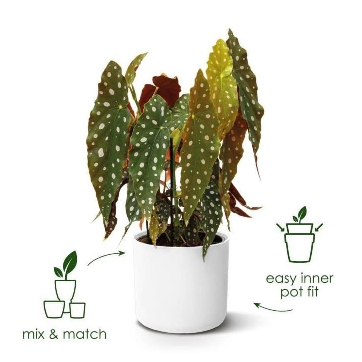 ELHO Pot de fleurs rond B.for Soft - Noir - Ø 35 x H 32 cm - Intérieur - 100% recyclé
