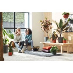 ELHO Pot de fleurs rond B.for Soft - Noir - Ø 35 x H 32 cm - Intérie