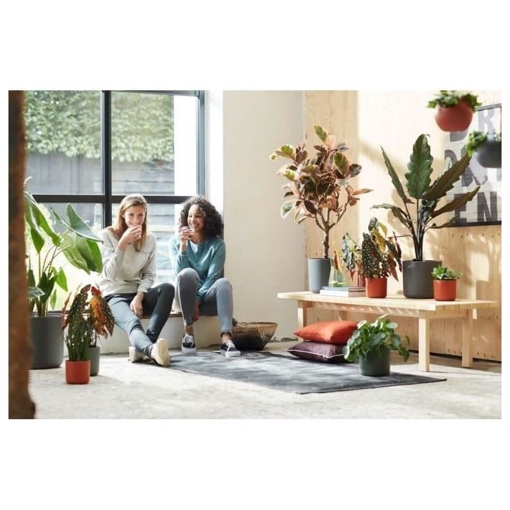 ELHO Pot de fleurs rond B.for Soft - Noir - Ø 35 x H 32 cm - Intérieur - 100% recyclé