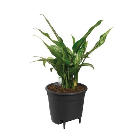 ELHO Pot de fleur Self-watering Insert 28 living - Ø27,7 x H25,5 cm - Noir