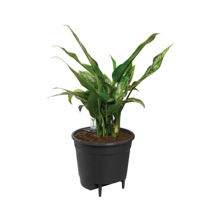 ELHO Pot de fleur Self-watering Insert 28 living - Ø27,7 x H25,5 cm - Noir ELHO Pot de fleur Self-watering Insert 28 living - Ø27,7 x H25,5 cm - Noir
