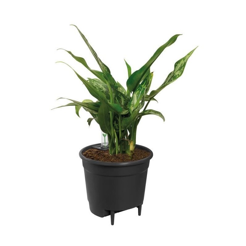 ELHO Pot a fleurs Self-watering Insert - Ø 33 x H 31 cm - Intérieur, ELHO Pot a fleurs Self-watering Insert - Ø 33 x H 31 cm - Intérieur,