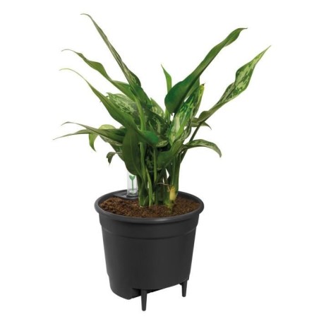 ELHO Pot a fleurs Self-watering Insert - Ø 33 x H 31 cm - Intérieur,