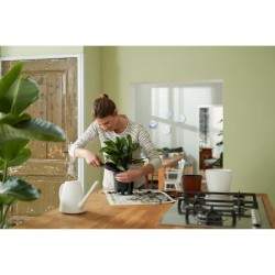 ELHO Pot a fleurs Self-watering Insert - Ø 33 x H 31 cm - Intérieur,