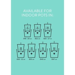 ELHO Pot a fleurs Self-watering Insert - Ø 33 x H 31 cm - Intérieur,
