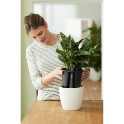 ELHO Pot a fleurs Self-watering Insert - Ø 33 x H 31 cm - Intérieur,