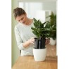 ELHO Pot a fleurs Self-watering Insert - Ø 33 x H 31 cm - Intérieur,