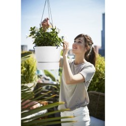 ELHO Pot de fleurs a suspendre Greenville - Ø 23,9 x H 20,3 cm - Ext