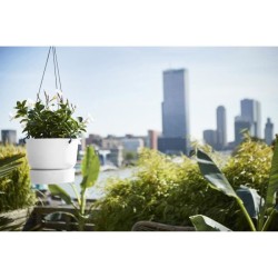 ELHO Pot de fleurs a suspendre Greenville - Ø 23,9 x H 20,3 cm - Ext
