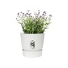 ELHO Pot de fleur GREENVILLE - Ø 47 x H 44,1 cm - 100% recyclé - Bla