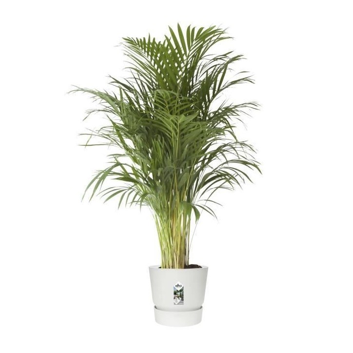 ELHO Pot de fleur GREENVILLE - Ø 47 x H 44,1 cm - 100% recyclé - Blanc ELHO Pot de fleur GREENVILLE - Ø 47 x H 44,1 cm - 100% recyclé - Blanc