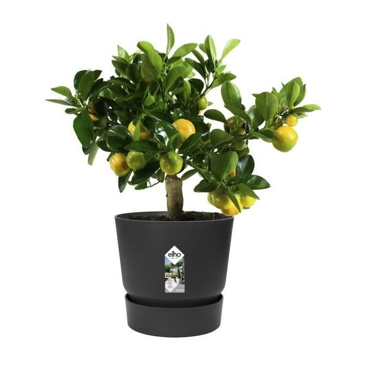 ELHO Pot de fleurs rond Greenville 30 - Extérieur - Ø 29,5 x H 27,8 cm - Vivre noir ELHO Pot de fleurs rond Greenville 30 - Extérieur - Ø 29,5 x H 27,8 cm - Vivre noir