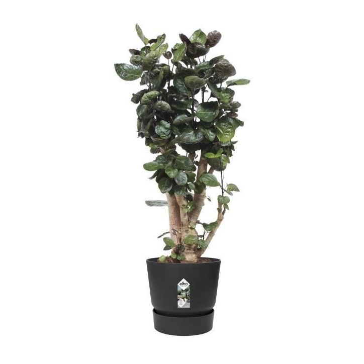 ELHO Pot de fleurs rond Greenville - Ø 47 x H 44 cm - Extérieur - 100% recyclé - Noir ELHO Pot de fleurs rond Greenville - Ø 47 x H 44 cm - Extérieur - 100% recyclé - Noir