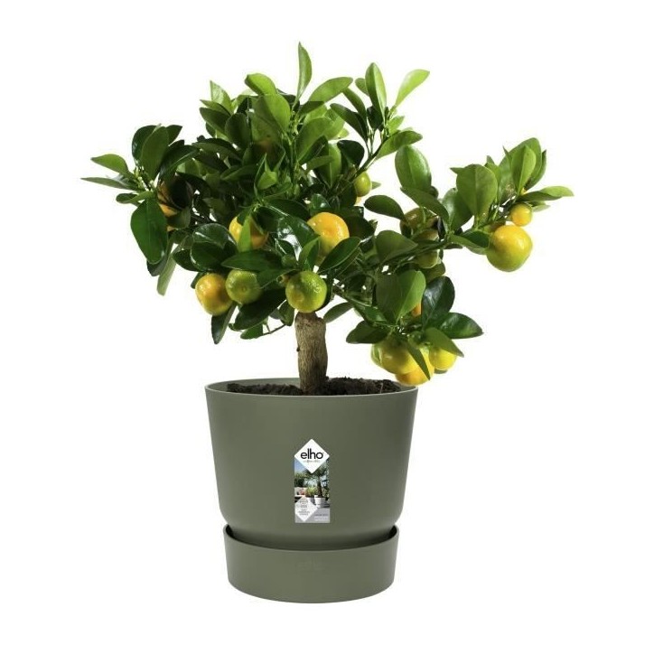 ELHO Pot de fleurs rond Greenville 25 - Extérieur - Ø 24,48 x H 23,31 cm - Vert feuille ELHO Pot de fleurs rond Greenville 25 - Extérieur - Ø 24,48 x H 23,31 cm - Vert feuille