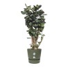 ELHO Pot de fleurs rond Greenville 47 - Extérieur - Ø 47 x H 44,1 cm