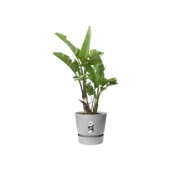 ELHO Pot de fleurs rond Greenville - Ø 47 x H 44 cm - Extérieur - 10