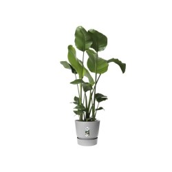 ELHO Pot de fleurs rond Greenville - Ø 47 x H 44 cm - Extérieur - 10