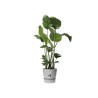 ELHO Pot de fleurs rond Greenville - Ø 47 x H 44 cm - Extérieur - 10