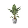 ELHO Pot de fleurs rond Greenville - Ø 47 x H 44 cm - Extérieur - 10