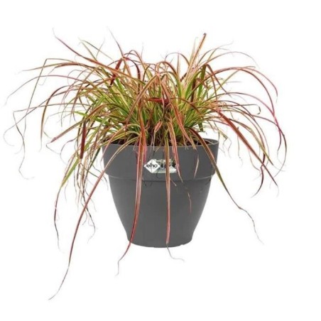 Elho Pot de fleurs rond Vibia Campana - Ø 55 x H 47 cm - Extérieur - 100% recyclé - Noir