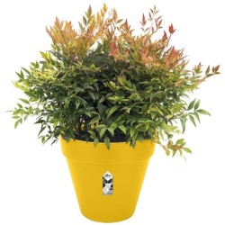 ELHO Pot de fleurs Rond LOFT URBAN - Plastique - Percé - Réservoir -
