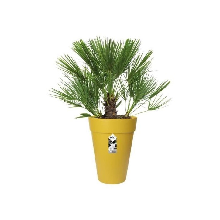 ELHO Pot de fleurs Loft Urban rond Haut - Ø 34 x H 45 cm - Extérieur - 100% recyclé - Jaune ELHO Pot de fleurs Loft Urban rond Haut - Ø 34 x H 45 cm - Extérieur - 100% recyclé - Jaune