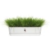 ELHO Jardiniere ovale GREENVILLE - Plastique recyclé - Ø70 x H 18,48