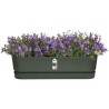 ELHO Jardiniere ovale GREENVILLE - Ø49 x 19,8 x 18,4 cm - Plastique r