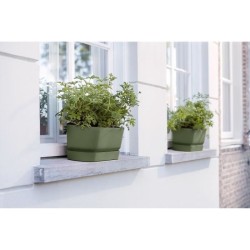 ELHO Jardiniere ovale GREENVILLE - Ø49 x 19,8 x 18,4 cm - Plastique r