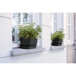 ELHO Jardiniere ovale GREENVILLE - Ø49 x 19,8 x 18,4 cm - Plastique r