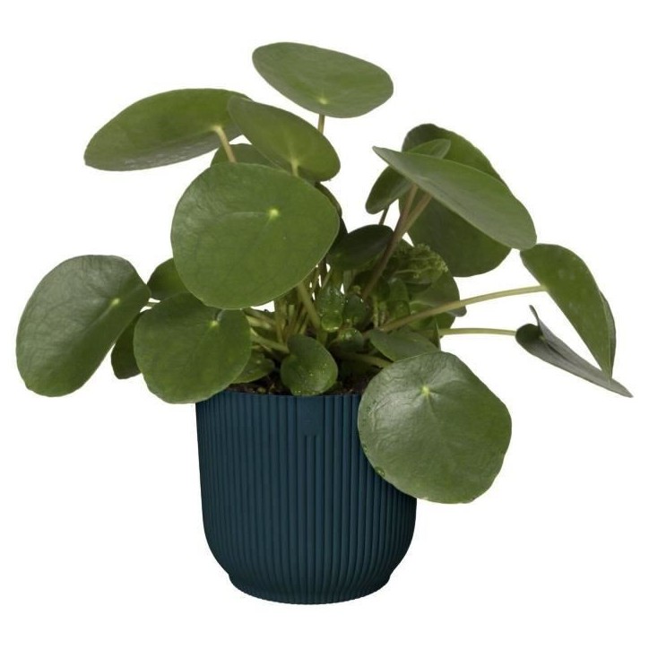 ELHO Pot de fleurs Rond VIBES - Ø22 x H20,16 cm - Plastique - Bleu Foncé ELHO Pot de fleurs Rond VIBES - Ø22 x H20,16 cm - Plastique - Bleu Foncé