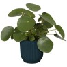ELHO Pot de fleurs Rond VIBES - Ø22 x H20,16 cm - Plastique - Bleu Fo