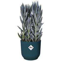 ELHO Pot de fleurs Rond VIBES - Ø22 x H20,16 cm - Plastique - Bleu Fo