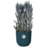 ELHO Pot de fleurs Rond VIBES - Ø22 x H20,16 cm - Plastique - Bleu Fo